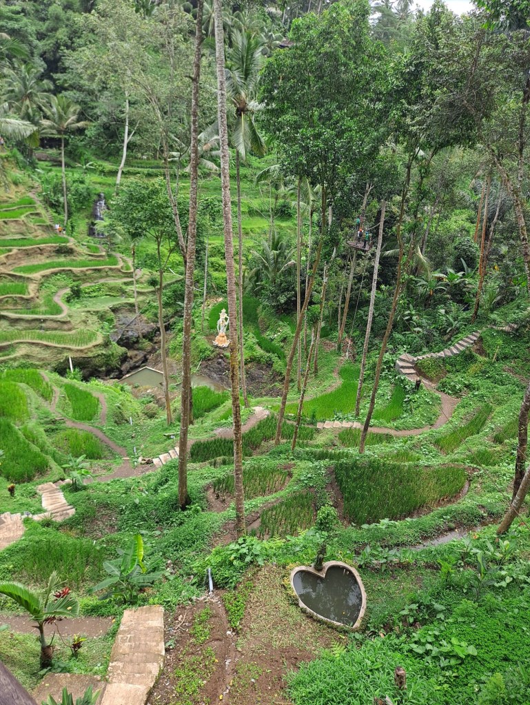 Tegallalang Rice Terrace, Bali