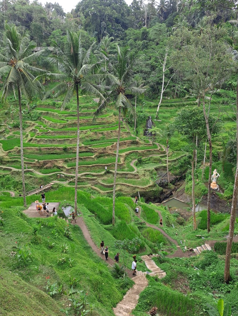 Tegallalang Rice Terrace, Bali
