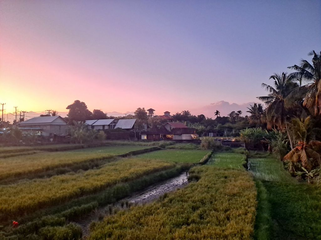 Rice field and sunset, Ubud, Bali, Indonesia