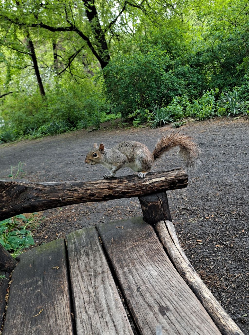 Life Is for&nbsp;Living: