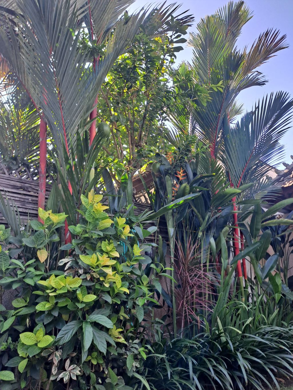 The Effects of Rats on Mental Health: A Very Scientific&nbsp;Article