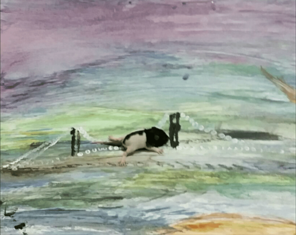 Oreo: Saved by a&nbsp;Rat