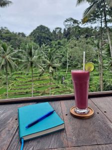 Tegalalang Rice Terraces, Ubud, Bali
