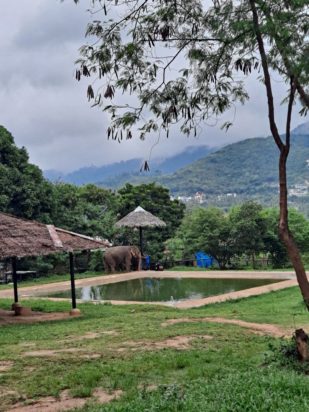 When Words Disappear