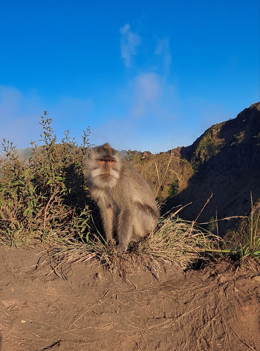 Procrastinate but Persevere