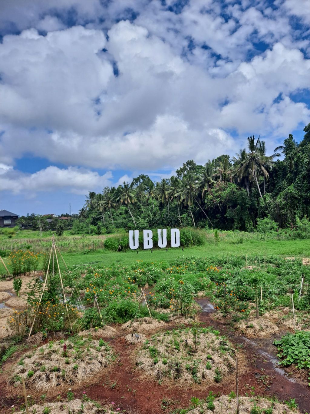 That Ubud Feeling