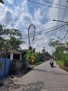 Bisma street in Ubud, Bali