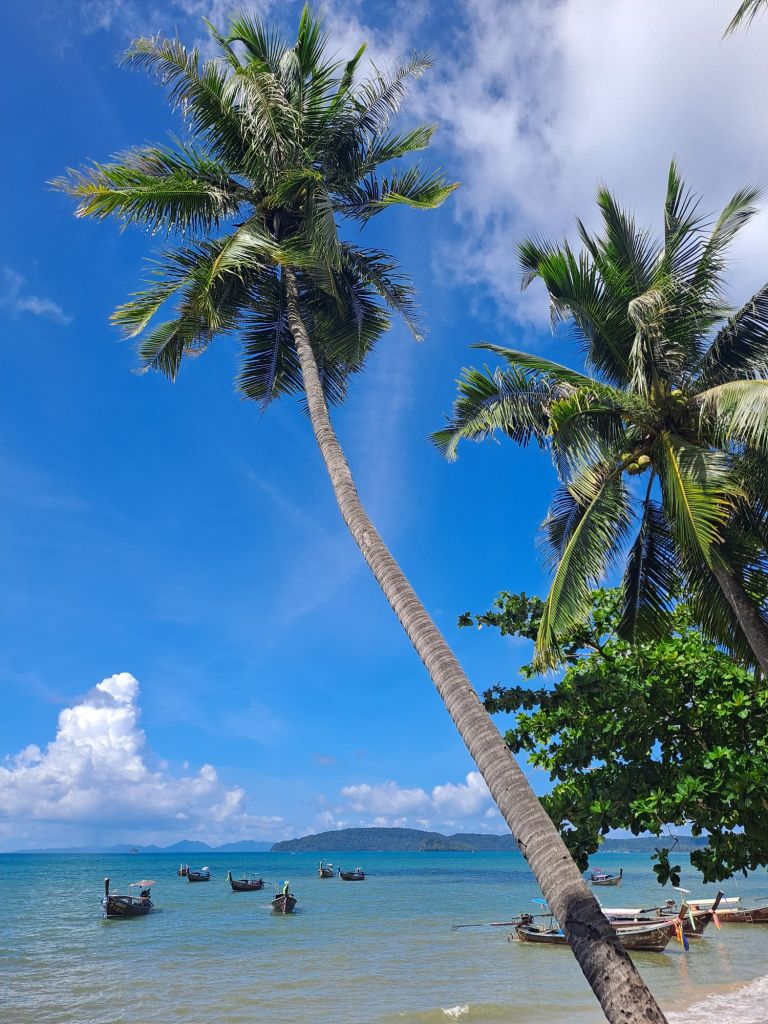 thailand, krabi, palm trees on beach with blue sky