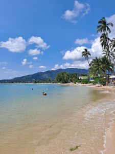 beach, sea, mountains and palm trees