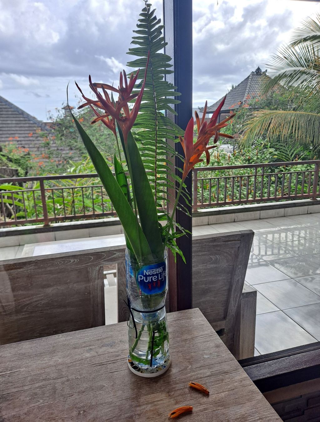 Birthday Thoughts of an Unorganized Mind