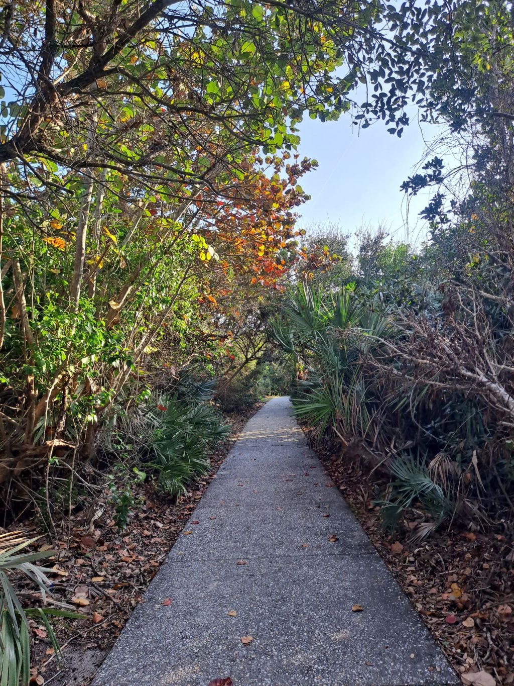 Is It Time to Stop Caring Yet?